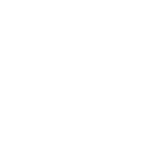 Logo SolidWorks